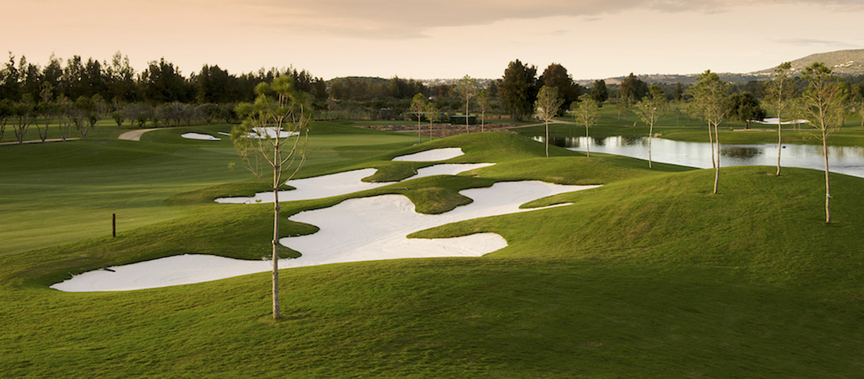 Prime  Portugal Property