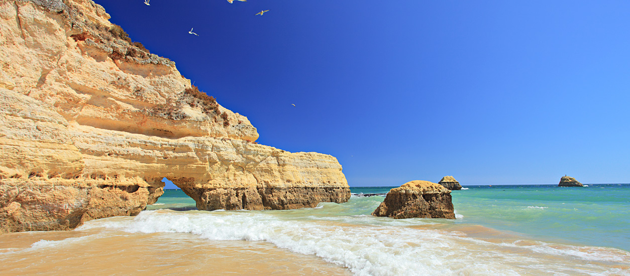 Prime  Portugal Property